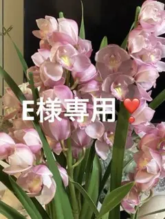 E様専用❣️