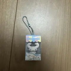 シナモロール パッケージチャーム キーホルダー