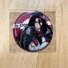 Dr.STONE Ani-Art くじ C賞 グリッター缶バッジ 獅子王司 - メルカリ