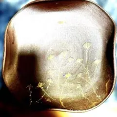 花柄装飾のブラウン四角皿