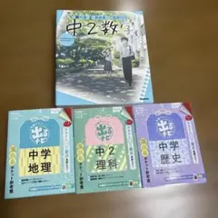 Item thumbnail for item bbae70dc-01ba-483d-9c32-7153e38ea9cd