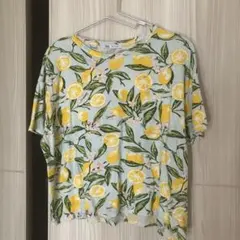ZARA レモン柄 半袖Tシャツ 水色のサムネイル