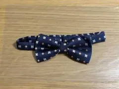 Item thumbnail for item ec0d2854-10bb-419a-8f77-806ee73fa73e