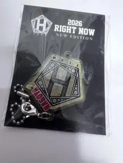 TEAMH★チャングンソクチャーム特典