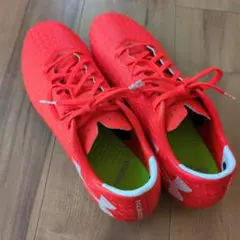 Item thumbnail for item b0cf9db0-595e-468d-8fac-debc41f046ee