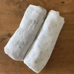 Item thumbnail for item b5bd3839-2a96-42a4-aa66-17fbdc817da6