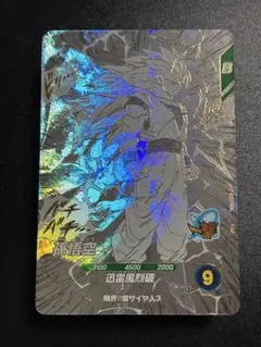 ＡＰＴ-００６　孫悟空　ＧＤＲ　通常　　 アドバンスパック