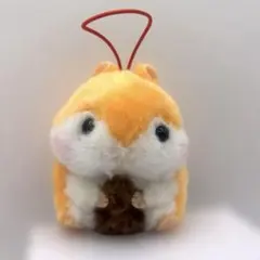 新品】ころはむコロン リスの森 えぞろん マスコット エゾリス - メルカリ