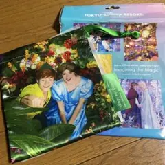 ディズニーリゾート　イマジニングザマジックピーターパン巾着
