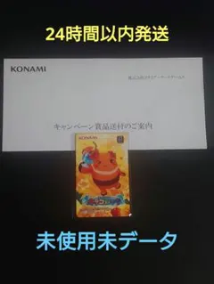 KONAMI e-amusement pass カラコロッタ 未使用