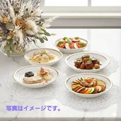 廃盤 希少❗ ノリタケ（Noritake）のボーンチャイナ製フルー皿 5客セット