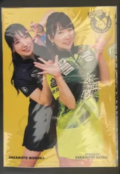 ボウリング プロボウラー （坂本姉妹）クリアファイル（ラウンドワンSP40賞品）
