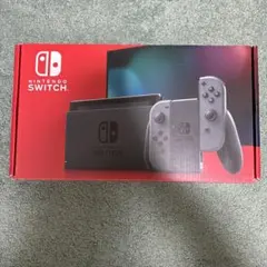 Nintendo Switch グレー 本体　付属品　一式セット