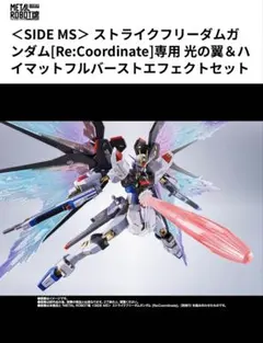 当選品 HSGK 1/72 フルトリム・ブリンガー フォクスライヒバイテ