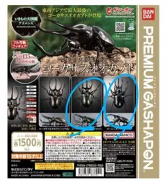 いきもの大図鑑アドバンス コーカサスオオカブト(スマトラ島)・モーレンカンプ