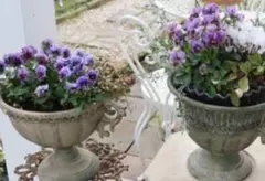 2026年最新】シャビー ガーデニングの人気アイテム - メルカリ