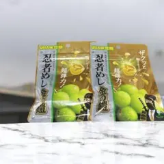 忍者めし 金の鎧　2個 限定 新商品 数量限定 人気のサムネイル