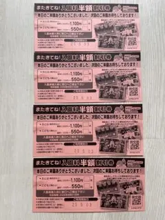 南知多ビーチランド 入園料半額割引券 4枚セットのサムネイル
