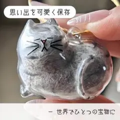 けだまだま キーホルダー 6個セット 猫 猫の毛入れ コンプリート メモリアル
