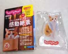 にゃらんアクスタ　猫の日