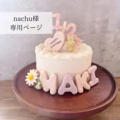 nachu様専用ページ　クレイケーキ　名前アイシングクッキー