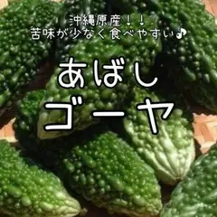 【あばしゴーヤのタネ】5粒 種子 種 沖縄野菜 夏野菜 ニガウリ 苦瓜