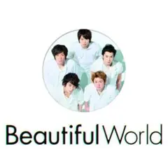 美品！　嵐 Beautiful World 初回限定盤 CD