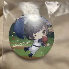 天月 ひきフェス 缶バッチ AMATSUKI 野球
