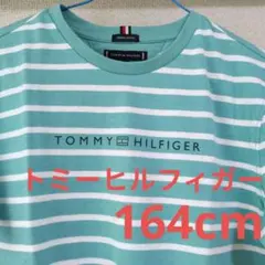 ✳新品✳TOMMY HILFIGER ストライプTシャツ 164