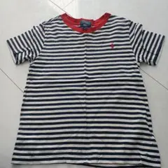 POLO RALPH LAUREN ストライプ Tシャツ 160