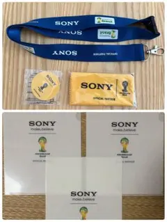 FIFAワールドカップ 2010南アフリカ大会 ソニーオフィシャル お値下げ
