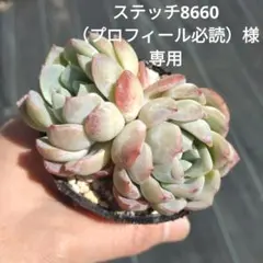 ステッチ8660（プロフィール必読）様 リクエスト 3点 まとめ商品