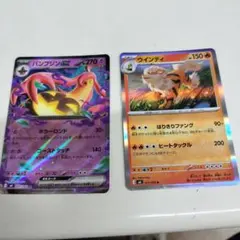 ポケモンカード パンプジンex ウインディ 2枚セット