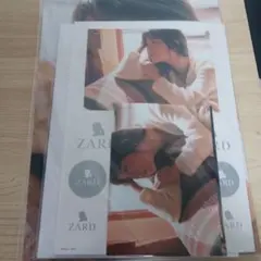 2025年最新】zard クリアファイルの人気アイテム - メルカリ