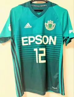 松本山雅2014 ユニフォーム Lサイズ 船山貴之 背番号付 サッカー Jリーグ 松本山雅2014 ユニフォーム Lサイズ 船山貴之 背番号付 サッカー