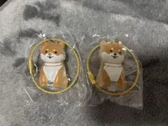 わんこのタイムカプセル　柴犬×2