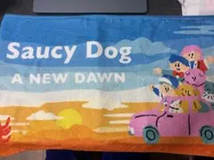 Saucy Dog CD ポストカード グッズ セット SaucyDog ポストカード 5枚セット - メルカリ