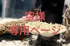 Item thumbnail for item c1d111cd-5516-4d9b-bb08-eb4638ef903b