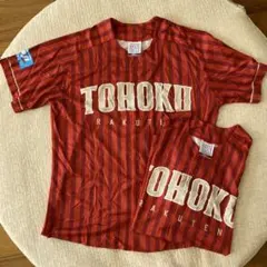 ユニフォーム 応援グッズ