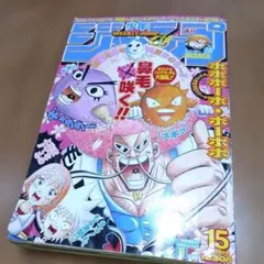 月刊少年ガンガン 2010年8月号 ソウルイーター 鋼の錬金術師 付録付き