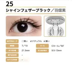 Item thumbnail for item 397cf6de-20e1-42f6-b8e1-ff57059eec15