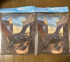 ポケモンカード コレクションファイル リザードン 2冊セット