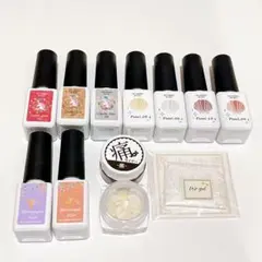 ネイル工房 カラージェルセット ラメ パール セルフジェルネイル アート用品