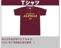 Item thumbnail for item b19a28ee-ef6b-43fc-a7a9-c0d90abf41d7