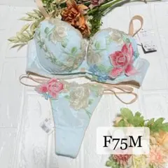 【新品】wacoal サルート 11 ブラ　ソングセット F75M SX