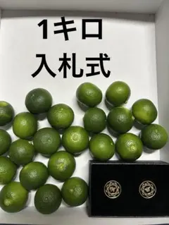 ハウススダチ 家庭用 約1キロ 入札式 - メルカリ
