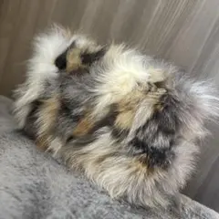 Ungrid アングリッドミックスカラーリアルフォックスファークラッチバッグ