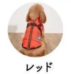 Item thumbnail for item 1fef4154-9fbd-4d5d-b5dc-a82705849b29