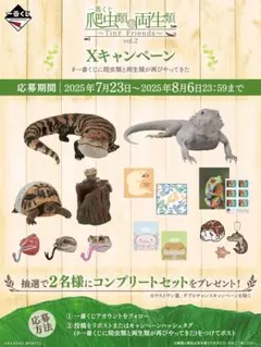 2025年最新】爬虫類くじの人気アイテム - メルカリ