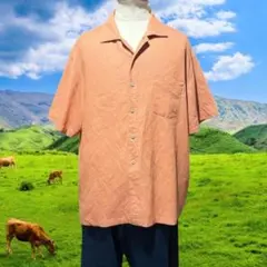 《vintage》80s 90s レーヨン 半袖シャツ 古着 ビンテージ